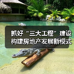 抓好“三大工程”建设 构建房地产发展新模式（图3）