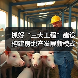 抓好“三大工程”建设 构建房地产发展新模式（图4）