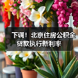 下调！北京住房公积金贷款执行新利率（图3）