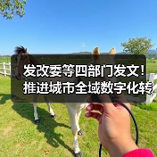 发改委等四部门发文！推进城市全域数字化转型！（图2）