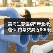美尚生态连续9年业绩造假 内幕交易近800亿（图2）