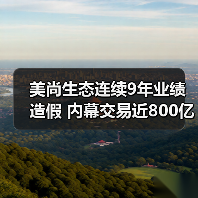 美尚生态连续9年业绩造假 内幕交易近800亿（图3）
