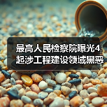 最高人民检察院曝光4起涉工程建设领域黑恶犯罪典型案例（图2）