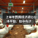 上半年国民经济运行总体平稳,稳中有进(图3) 上半年国民经济运行总体平稳,稳中有进(图3)
