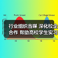 行业组织当媒 深化校企合作 帮助高校学生实习就业（图1）