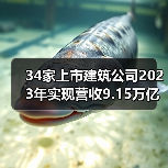 34家上市建筑公司2023年实现营收9.15万亿元(图2) 34家上市建筑公司2023年实现营收9.15万亿元(图2)