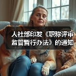 人社部印发《职称评审监管暂行办法》的通知（图4）