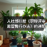人社部印发《职称评审监管暂行办法》的通知（图2）