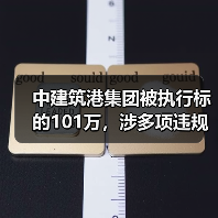 中建筑港集团被执行标的101万，涉多项违规整改（图4）