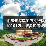 中建筑港集团被执行标的101万，涉多项违规整改（图2）
