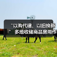 “以购代建、以旧换新” 多地收储商品房用作保障房(图3) “以购代建、以旧换新” 多地收储商品房用作保障房(图3)