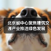 北京副中心聚焦建筑交通产业推进绿色发展（图1）