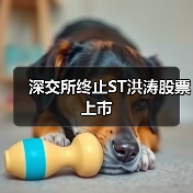 深交所终止ST洪涛股票上市（图4）