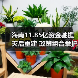 海南11.85亿资金驰援灾后重建 政策组合拳护航复产（图3）