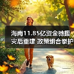 海南11.85亿资金驰援灾后重建 政策组合拳护航复产（图2）