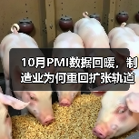 10月PMI数据回暖,制造业为何重回扩张轨道?(图1) 10月PMI数据回暖,制造业为何重回扩张轨道?(图1)