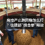 房地产止跌回稳怎么打?住建部 房地产止跌回稳怎么打?住建部