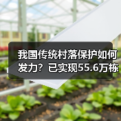 我国传统村落保护如何发力？已实现55.6万栋建筑全面守护（图2）