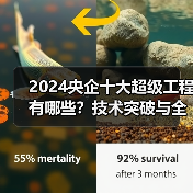 2024央企十大超级工程有哪些?技术突破与全球影响(图3) 2024央企十大超级工程有哪些?技术突破与全球影响(图3)