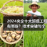 2024央企十大超级工程有哪些?技术突破与全球影响(图2) 2024央企十大超级工程有哪些?技术突破与全球影响(图2)