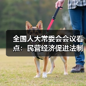全国人大常委会会议看点：民营经济促进法制定与多部法律修订（图3）