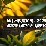 城中村改造扩围：2025年政策力度加大 新增100万套如何推进？（图2）