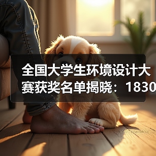 全国大学生环境设计大赛获奖名单揭晓：1830份作品斩获大奖（图4）