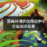 营商环境优化推动中小企业加速发展（图4）