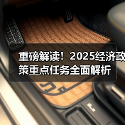 重磅解读！2025经济政策重点任务全面解析（图4）