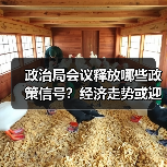 政治局会议释放哪些政策信号?经济走势或迎重大变化(图3) 政治局会议释放哪些政策信号?经济走势或迎重大变化(图3)