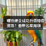 哪些建企成功升级特级资质？最新名单揭晓（图4）