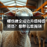 哪些建企成功升级特级资质？最新名单揭晓（图1）