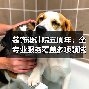 装饰设计院五周年：全专业服务覆盖多项领域，赢得行业赞誉（图1）