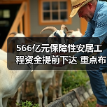 566亿元保障性安居工程资金提前下达 重点布局哪些领域？（图4）