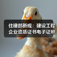 住建部新规：建设工程企业资质证书电子证照标准统一（图3）