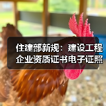 住建部新规：建设工程企业资质证书电子证照标准统一（图1）