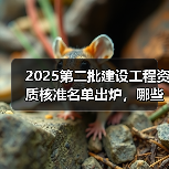 2025第二批建设工程资质核准名单出炉，哪些企业通过审核？（图3）