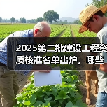 2025第二批建设工程资质核准名单出炉，哪些企业通过审核？（图4）