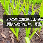 2025第二批建设工程资质核准名单出炉，哪些企业通过审核？（图2）