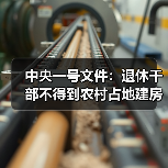 中央一号文件：退休干部不得到农村占地建房（图2）