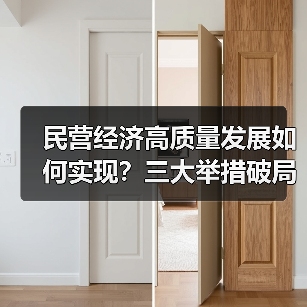 民营经济高质量发展如何实现？三大举措破局增长瓶颈（图4）