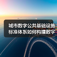 城市数字公共基础设施标准体系如何构建数字化转型基石？（图2）