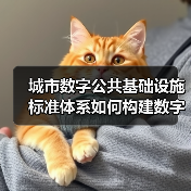 城市数字公共基础设施标准体系如何构建数字化转型基石？（图1）