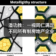 潘功胜：一视同仁满足不同所有制房地产企业合理融资需求（图4）
