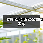 支持民营经济25条举措发布（图2）
