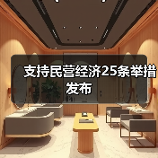 支持民营经济25条举措发布（图4）