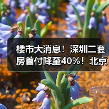 楼市大消息！深圳二套房首付降至40%！北京和上海跟不跟？（图4）