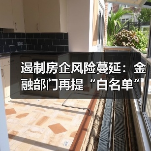 遏制房企风险蔓延：金融部门再提“白名单”料明年见效（图4）
