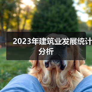 2023年建筑业发展统计分析（图3）